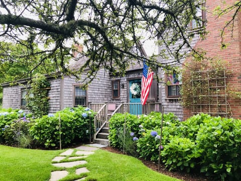 Front view: July 2020. Lush greenery and the blue hydrangeas grow into fall