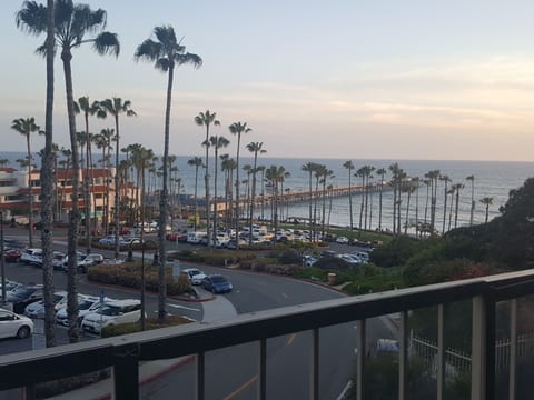 From the Deck

