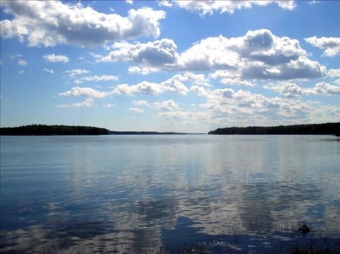 View of Middle Bay from our Oceanfront