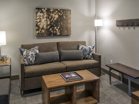 The living area includes a queen size sofa bed.