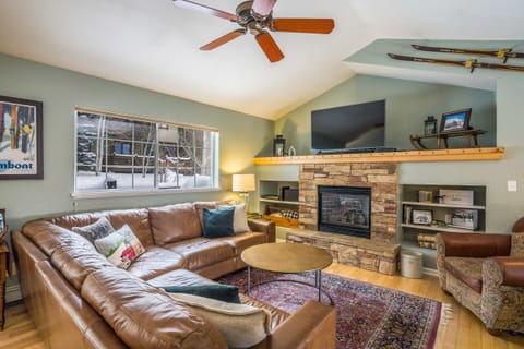 Sunny living room with fireplace, 55" TV, & sound bar.
