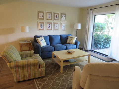 Living area with new sleeper sofa