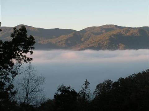 Morning Picture from Deck / Dining / Family room