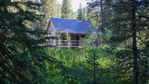 The Ursa cabin is located in a meadow flanked by pines and aspens.