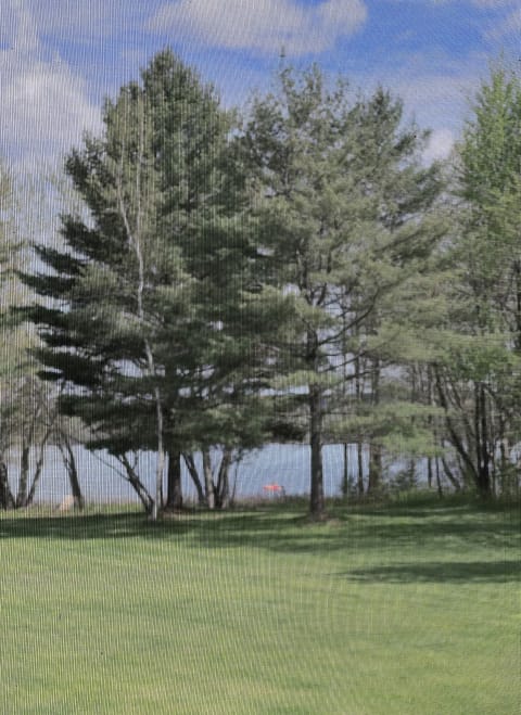 SPRING MONTH OF MAY 45-70 DEGREES