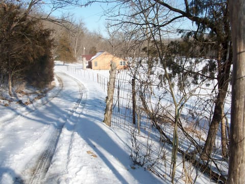 A winter view of the cabin!  Coming down the snowy lane.