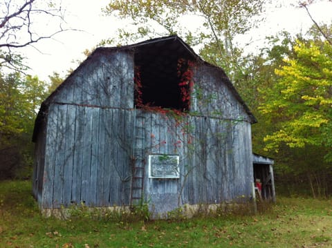 Even the old barn is decked out in the colors of Fall!