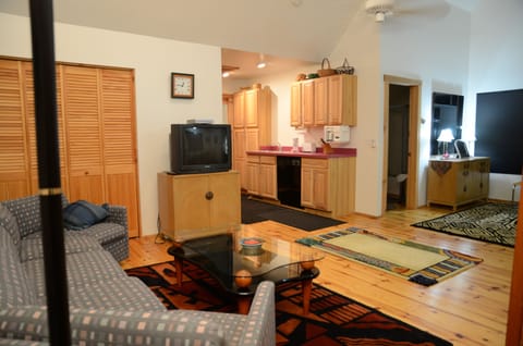 Kitchen view of loft apartment 