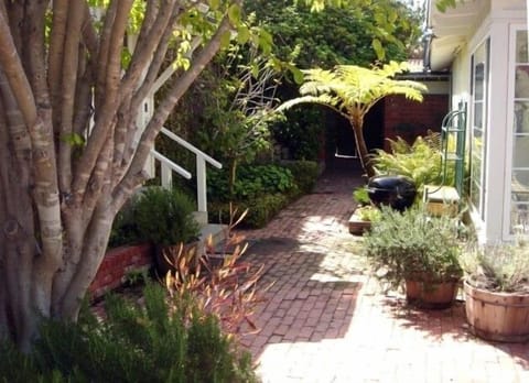 Another View of the Back Courtyard