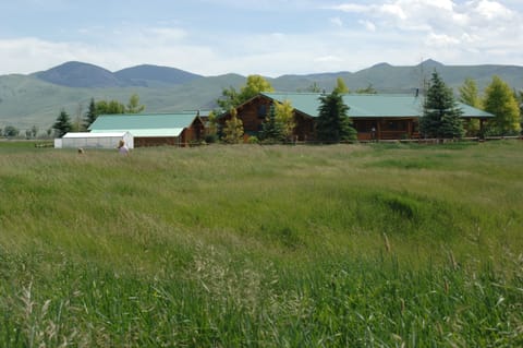 Room to roam in your own, private meadow next to the house