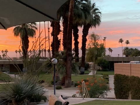 Warm sunsets from pool facing patio.