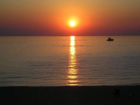 Gorgeous Golden Sunset