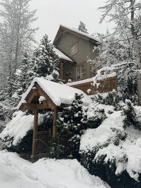 Our place on a snowy day