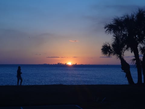 Enjoy amazing sunsets over Tampa Bay