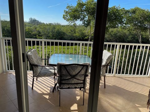 Living room balcony overlooking mangrove forest