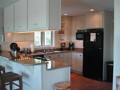 Fully equipped gourmet kitchen with gas stove.