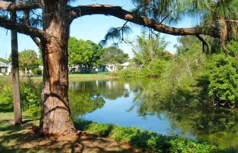 View of backyard pond from Adirondack rocking chairs