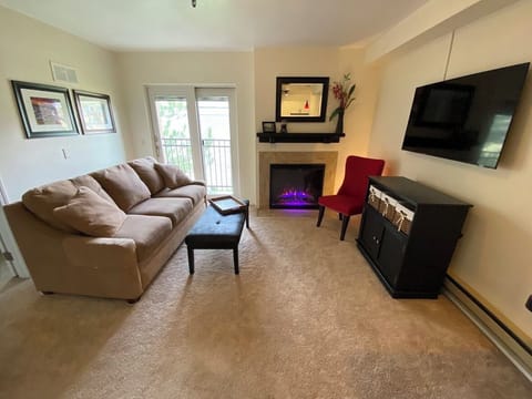 Updated furniture, carpeting, 42" television, electric fireplace, and a patio.