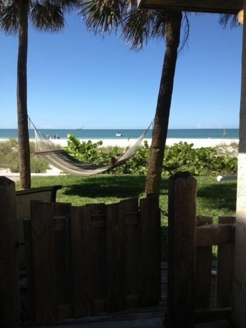 back yard with grassy area and palm trees and shaded hammock