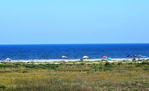 Summer Beach Days