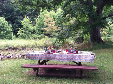 Picnic by the Creek!