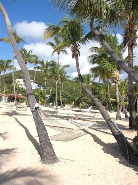 A hammock on the sandy shore at Bolongo Bay is waiting for you