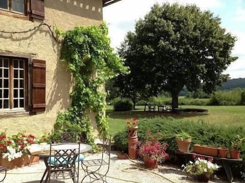 Grapevine, rosemary, cafe in the morning w/a great view! Relax under the tree.