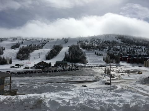 Winter view from the balcony