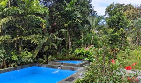 Swimming pool area.