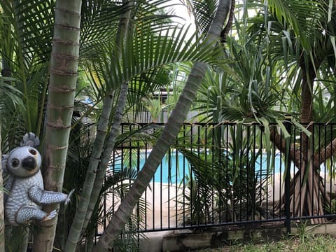 Tropical pool to cool off in 
