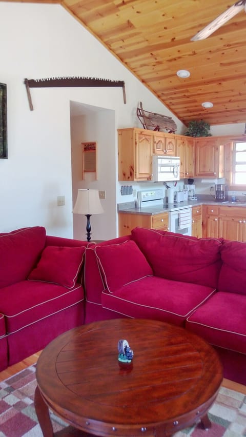 Living Room Area with sleeper sofa