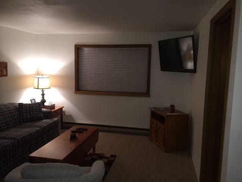 downstairs family room