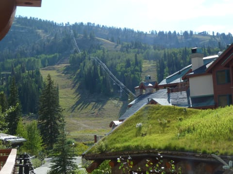 View of the ski resort from the deck - watch your family or friends ski down!