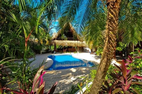 Experience PURA VIDA !!
