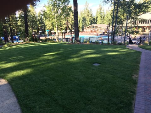 grass area near pool