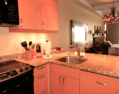 Custom maple cabinetry, with paneled Bosch dishwasher on right.