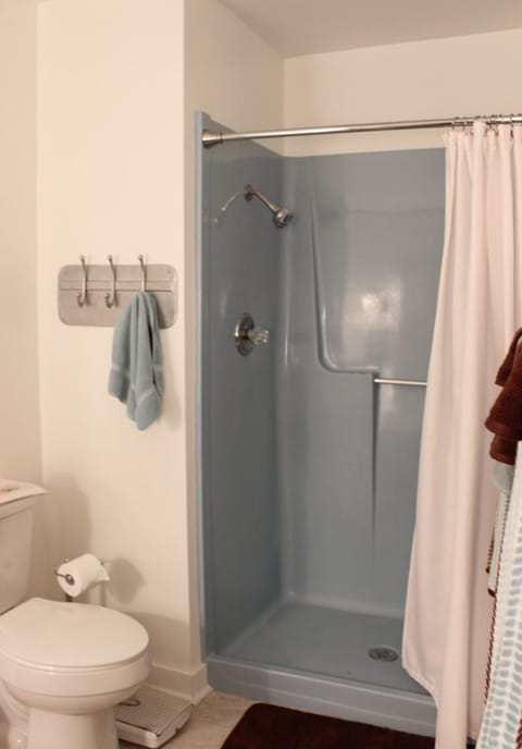 Blue bathroom -walk-in shower