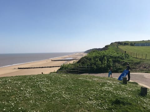 Our beautiful sandy blue flag each, a few yards from the house!