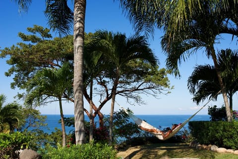 Best hammock view from the top of our 5 acre knoll.