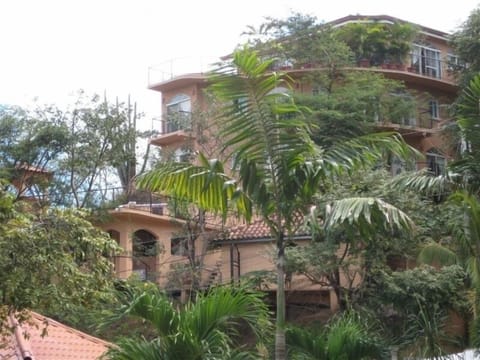 Front View
