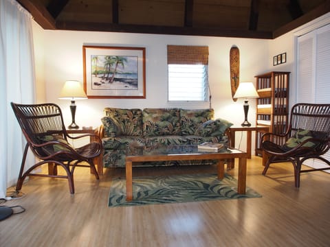 Living Room with new queen-size sleeper sofa
