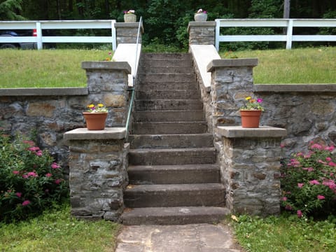 Steps down to the front door from the driveway.