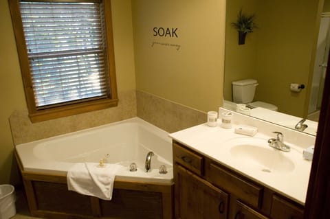 Main floor master suite bathrom