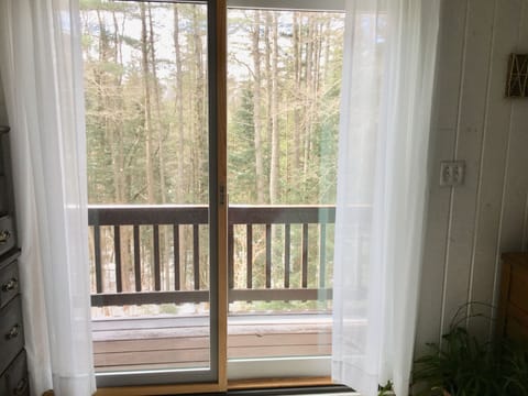 That is your morning view!