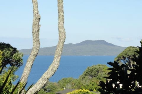 Zoomed in View of Rangitoto