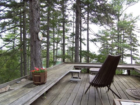Tree House deck