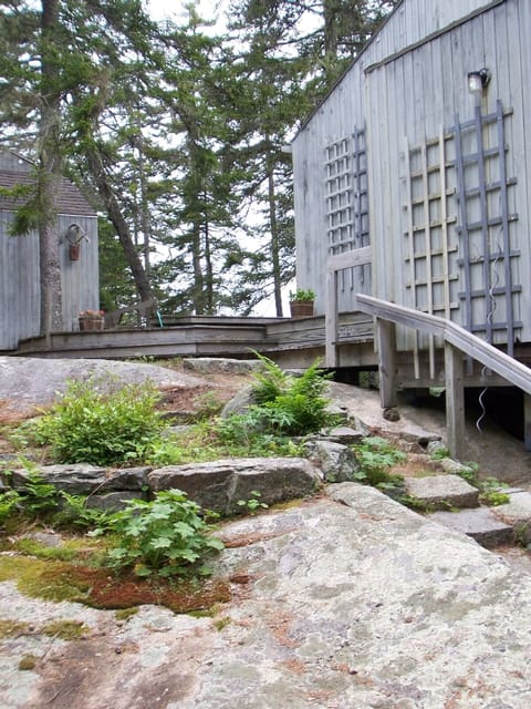 Entrance to Tree House