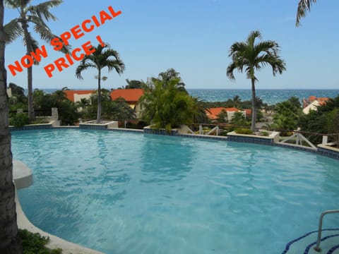 Relax at the Royal Palm Resort Pool & Sun Deck