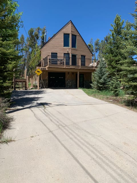 Long sloping driveway - 24' at the widest, 47' from stairs to end of driveway.