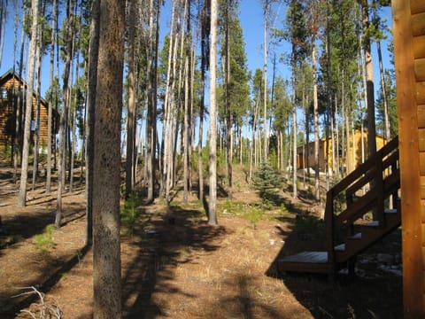 Backyard of Moose Hus